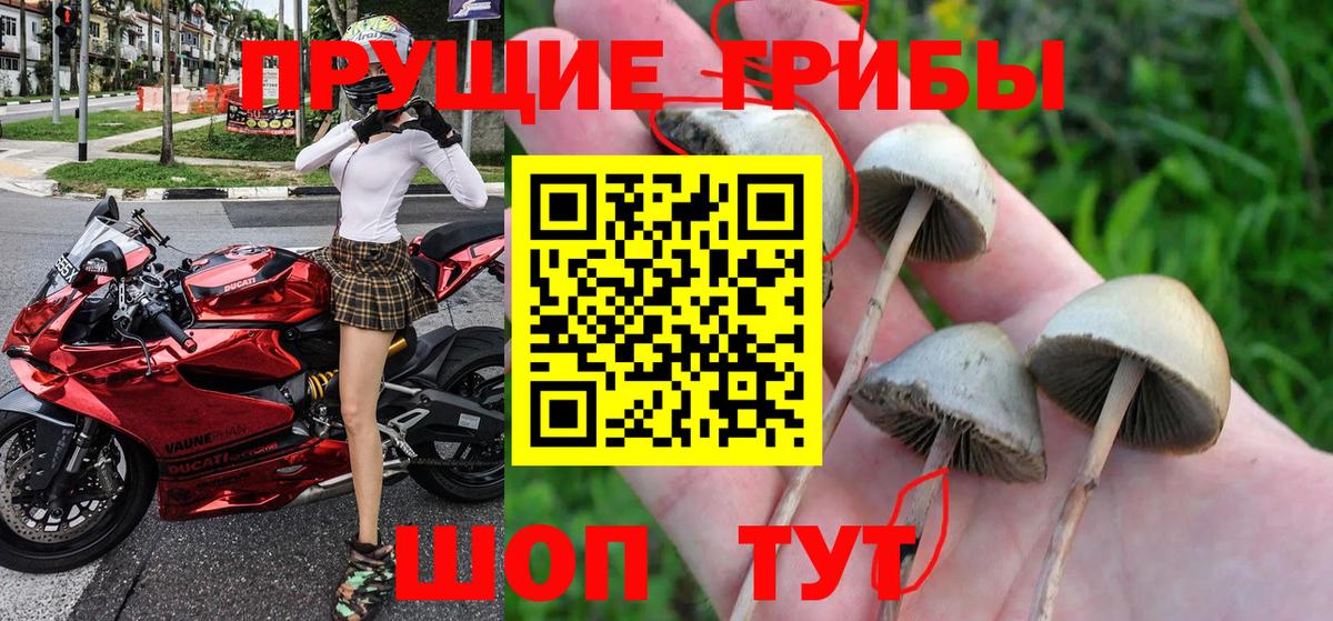 Псилоцибиновые грибы мухоморы Владимир