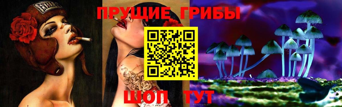 Владимир  Галлюциногенные грибы мицелий  Вход с VPN 